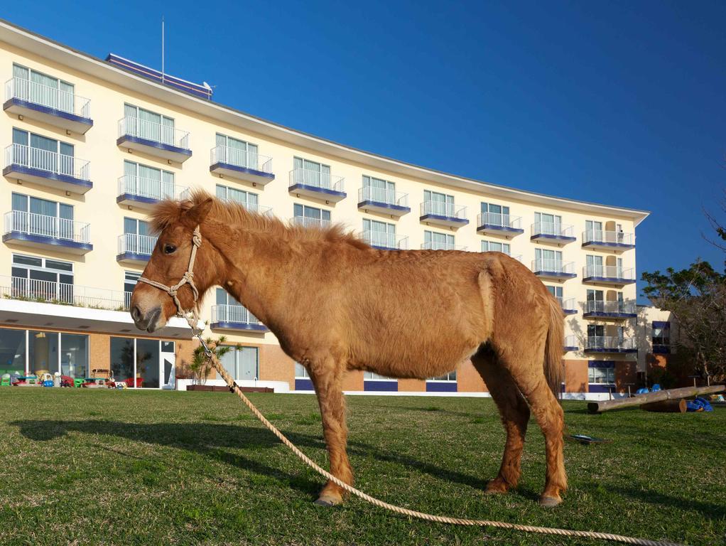 Marine Piazza Okinawa Hotel Motobu Exterior photo
